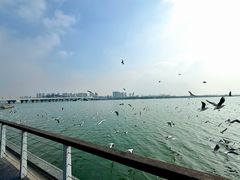 -蠡湖大桥公园
