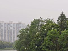 -飞来湖湿地公园