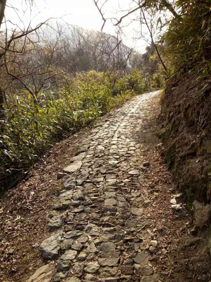 橫溪亭溪嶺古道-