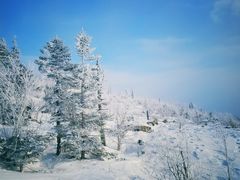 景点-亚布力新体委滑雪场