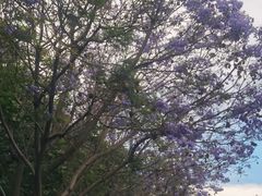 -西昌邛海湿地