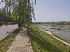 -洨河生态公园