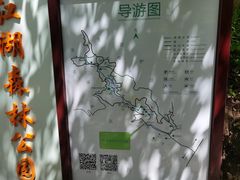 -广州白江湖森林公园