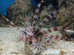 -福州罗源湾海洋世界旅游区