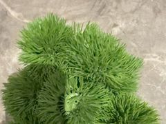 -漫·汤泉