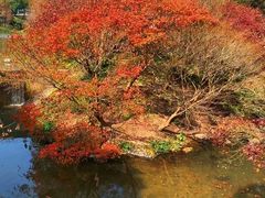 -田野绿世界