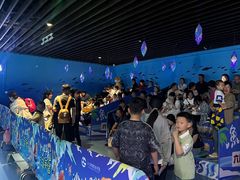 -沙沙哗啦海洋馆(华宇百花谷店)