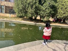 -南郊宾馆·风味自助餐厅·山东十六地市特色菜