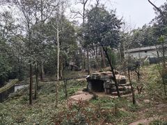 -中国大熊猫保护研究中心雅安碧峰峡基地
