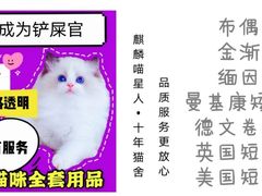 -十年猫舍·猫咪专门店(普陀店)