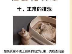 -宠福鑫动物医院(立水桥分院)