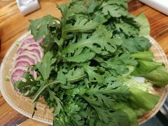 -菌之家·专业纯野生菌火锅·特色炒菌