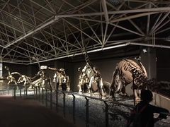 -世界恐龙谷景区