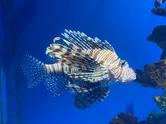 -海合安武汉极地海洋公园