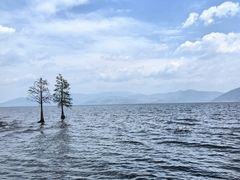 -大理洱海