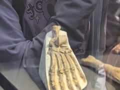 -北京周口店北京人遗址博物馆