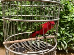 -南宫五洲植物乐园