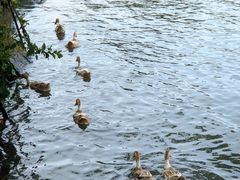 -东钱湖旅游度假区