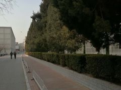 -北京化工大学(东校区)
