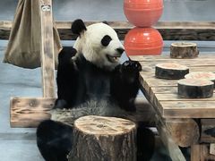 -无锡动物园·太湖欢乐园