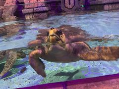 -波塞冬旅游度假区