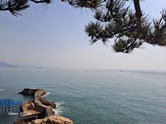 -小麦岛公园