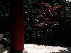 -广州市白云山风景名胜区