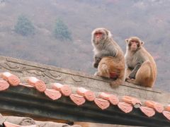 -白帝城·瞿塘峡景区