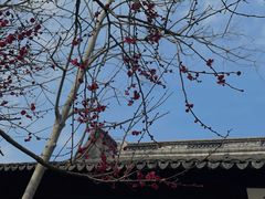 -惠山古镇·寄畅园