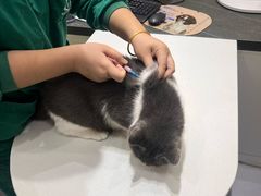 -派特宠物医院(圆融广场店)