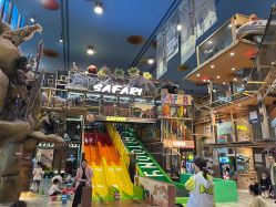 -卡通尼·Safari非洲探索乐园·生日会(金桥国际商业广场店)