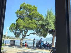 -鹏城人家海鲜酒家·23年老字号(较场尾店)