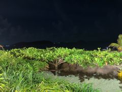 -渔家火锅·海鲜自助餐·演艺(亚龙湾天域酒店)