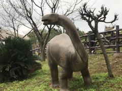 -自贡恐龙博物馆