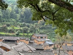 -杨家堂村
