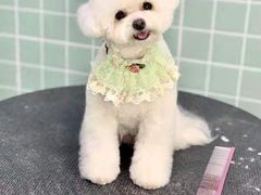 -哈尼爱宠·宠物生活会馆