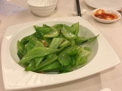 -陶然轩(沙面店)