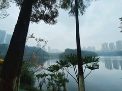 -重庆彩云湖湿地公园