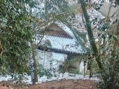 -青城山