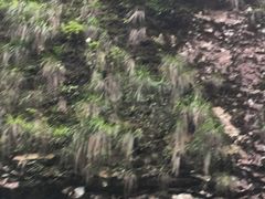 -太湖源风景区