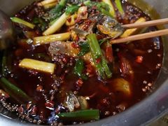 -曾老幺鱼庄(龙华商厦店)
