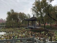 -武汉园博园(武汉自然博物馆)