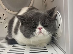 -FAELING PETS美天灵宠物(富力广场店)