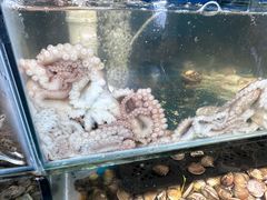 -仙螺岛海鲜自助餐厅(总店)