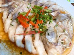 -九井澤精致料理(金茂店)