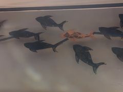 -炉鱼(萧山万象汇店)