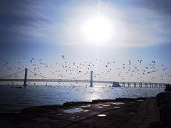 -星海广场