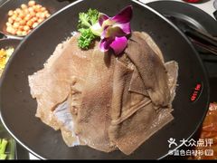 -鼎膳常火锅(华阳店)