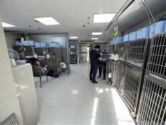 -申普宠物医院·心脏介入·心血管微创(总院)
