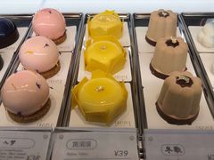 -夏佐CHASEL(横店康庄路店)